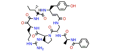 Cyclotheonamide E2